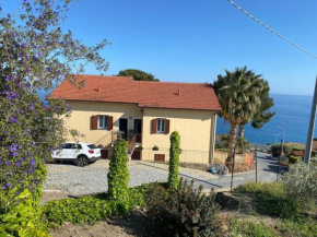 casa Bart